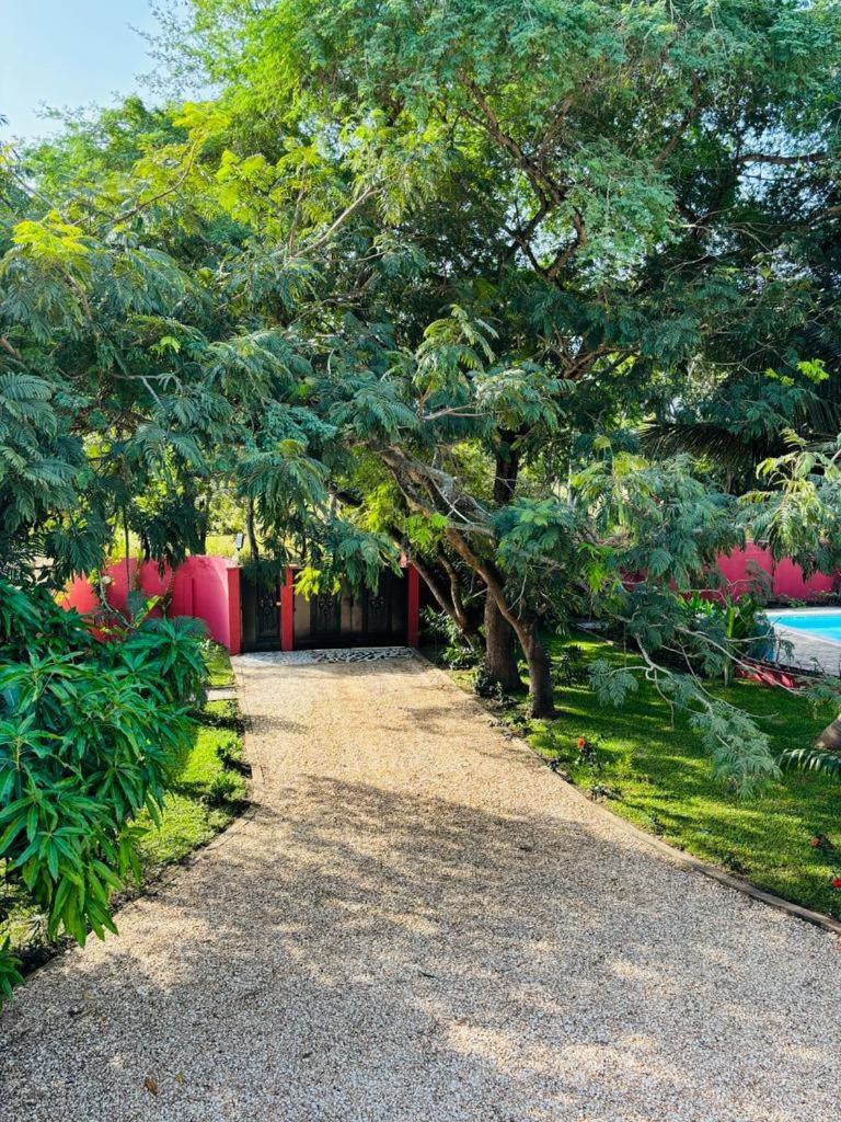 Heda House Bed & Breakfast Sanyang Exterior photo